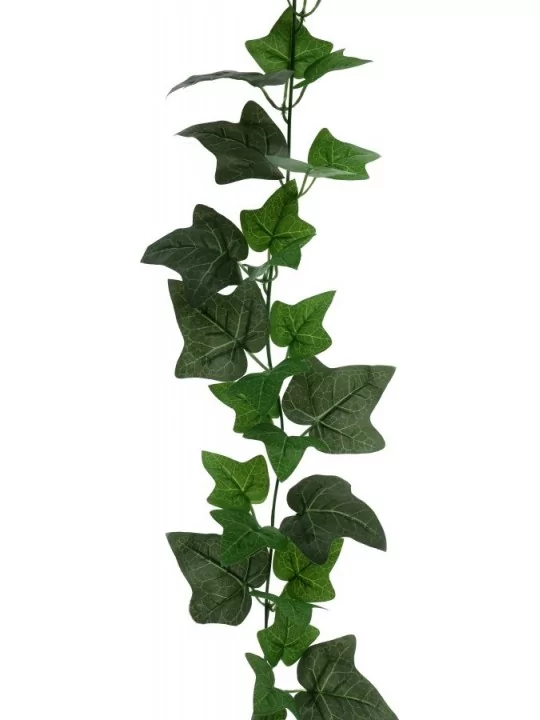 Guirlande de lierre 220cm Vert Déco Salle