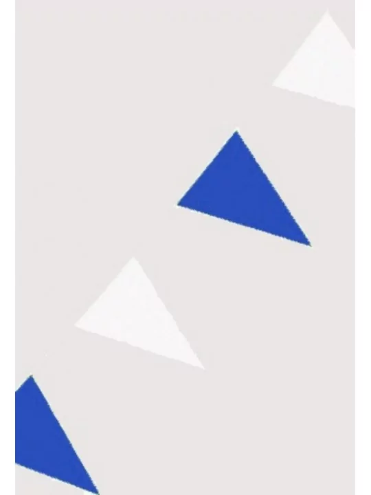 B74727 - Guirlande de Fanions plastique bleu/blanc 10 m