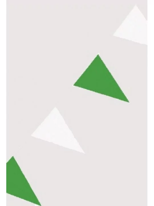 B74728 - Guirlande de Fanions plastique vert/blanc 10 m