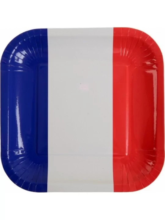 10 Assiettes France 23cm Tricolore Art de la table