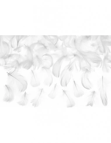 Plumes 5-8cm 3gr blanc Art de la table