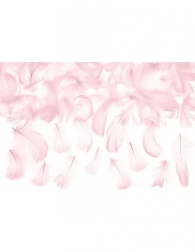 Plumes 5-8cm 3gr rose Art de la table