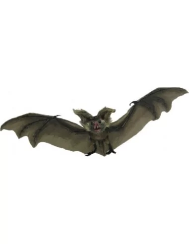 Chauve souris