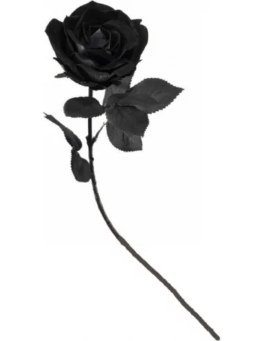 Tige Rose noir luxe 66cm