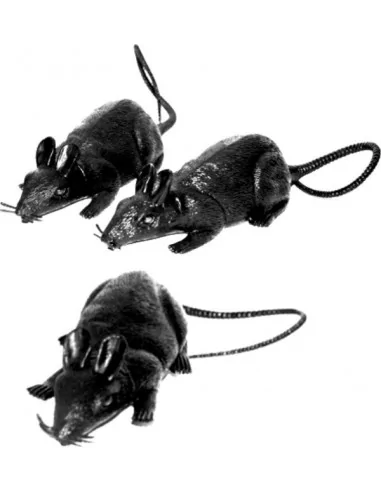 3 Rats 6cm