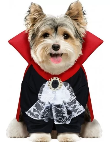 Déguisement pour petit Chien Dracula