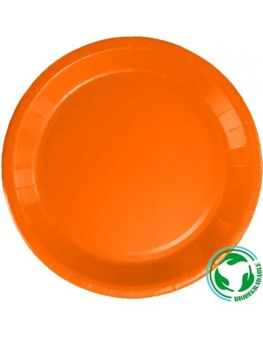 10 Assiettes carton biodégradable orange 20cm