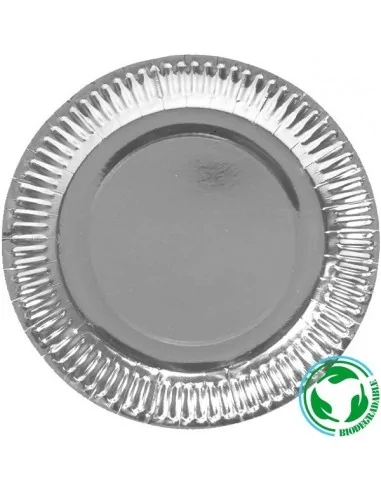 10 Assiettes carton biodégradable argent 23cm