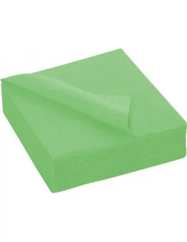 50 Serviettes double-couche vert pistache 40x40cm