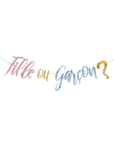 Guirlande Gender Reveal -Fille ou Garçon ?- 250cm