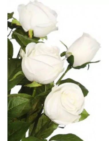 Bouquet de 6 Grandes Roses blanches 45cm