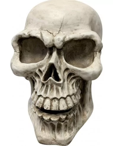 Riesen-Totenkopf 41cmx60cmx63cm