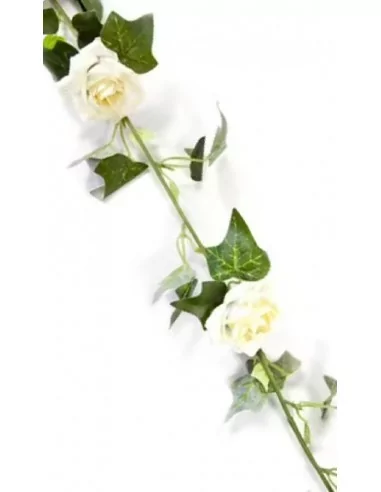 Girlande aus Rosen und Efeublättern 170cm elfenbeinfarben